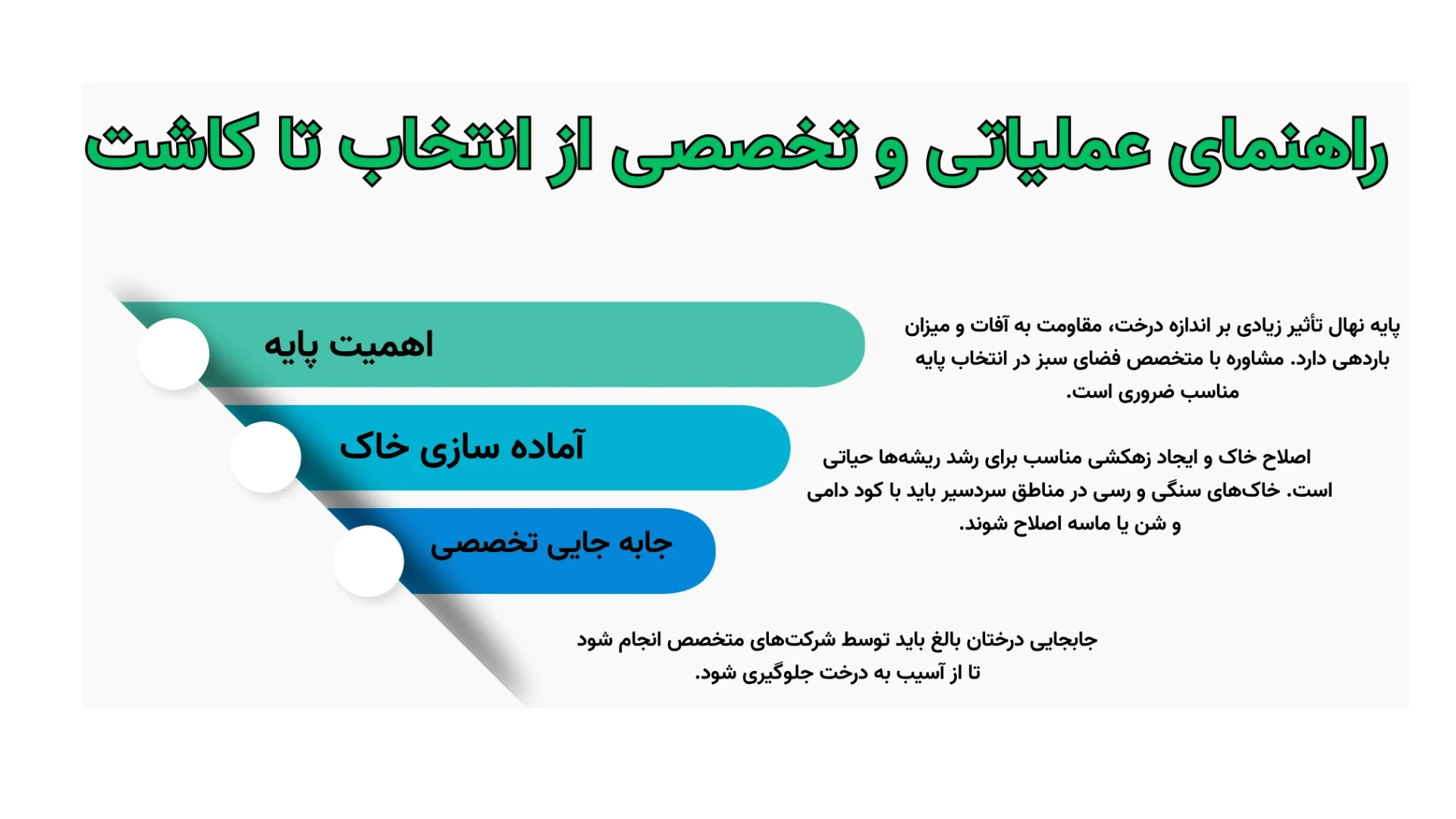 راهنمای عملیاتی و تخصصی؛ از انتخاب تا کاشت